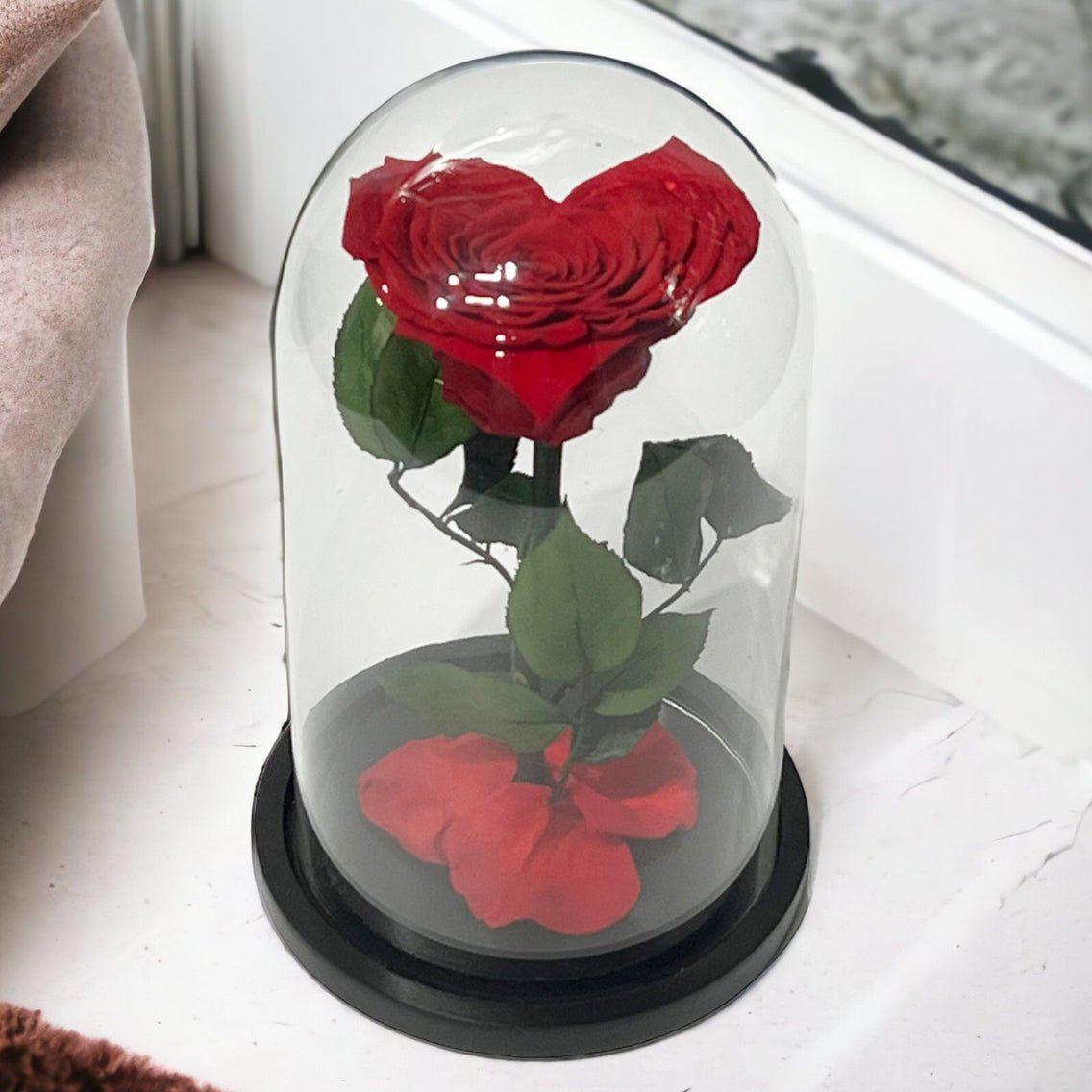 Trandafir Criogenat Inima Rosie Cu Cupolă De Sticlă 15x25cm Cadou Etern Iubire - Trandafir - Criogenat.ro
