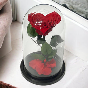 Trandafir Criogenat Inima Rosie Cu Cupolă De Sticlă 15x25cm Cadou Etern Iubire - Trandafir - Criogenat.ro