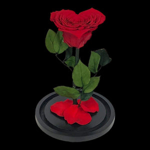 Trandafir Criogenat Inima Rosie Cu Cupolă De Sticlă 15x25cm Cadou Etern Iubire - Trandafir - Criogenat.ro