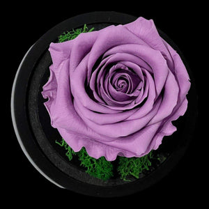 Trandafir Criogenat Lila de Lux în Cupolă de Sticlă 8cm Personalizat Cu Mesaj - Trandafir - Criogenat.ro