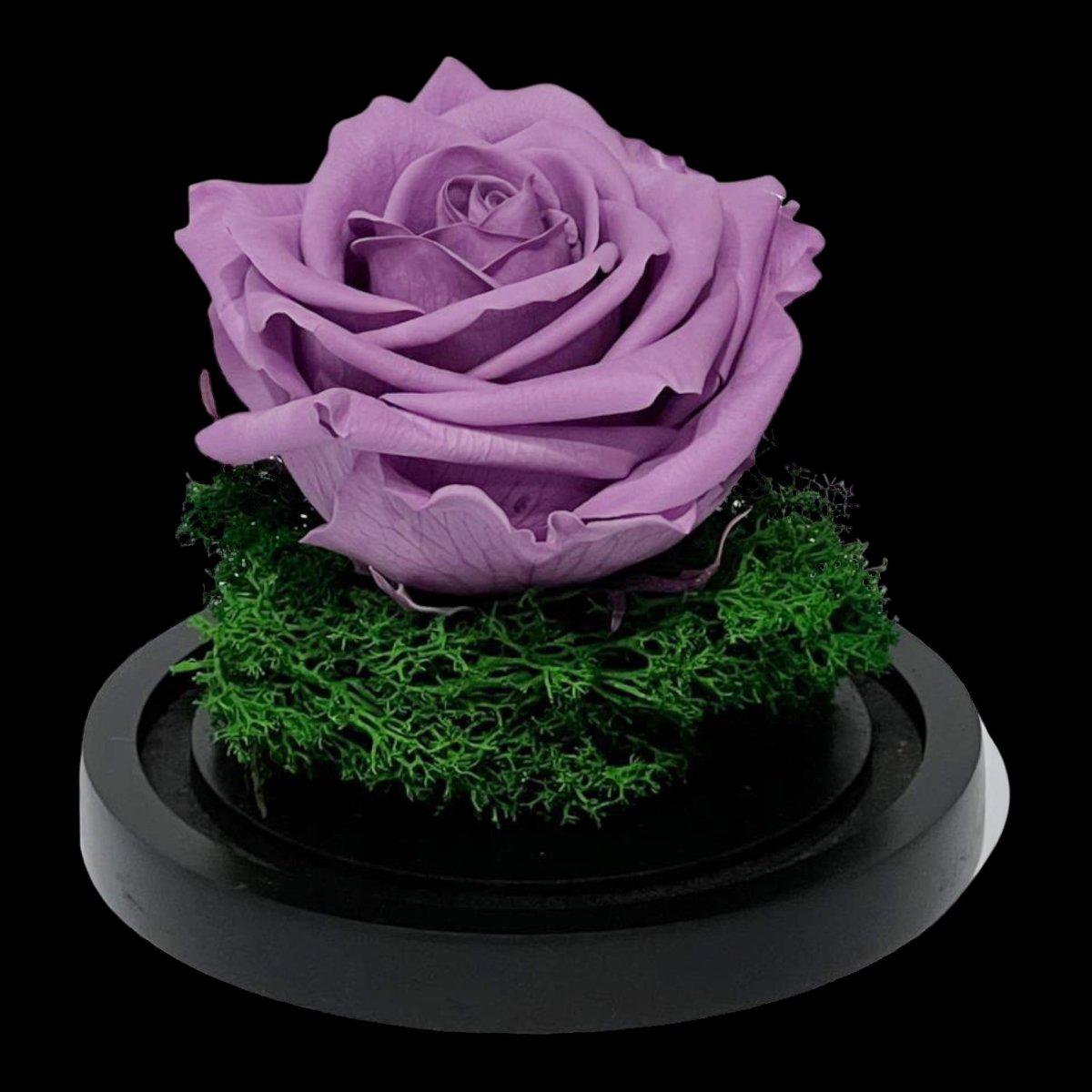 Trandafir Criogenat Lila de Lux în Cupolă de Sticlă 8cm Personalizat Cu Mesaj - Trandafir - Criogenat.ro