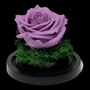 Trandafir Criogenat Lila de Lux în Cupolă de Sticlă 8cm Personalizat Cu Mesaj - Trandafir - Criogenat.ro