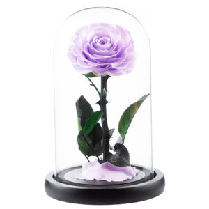 Trandafir Criogenat lila in cupola de sticla, cu mesaj personalizat scris - Trandafir - Criogenat.ro