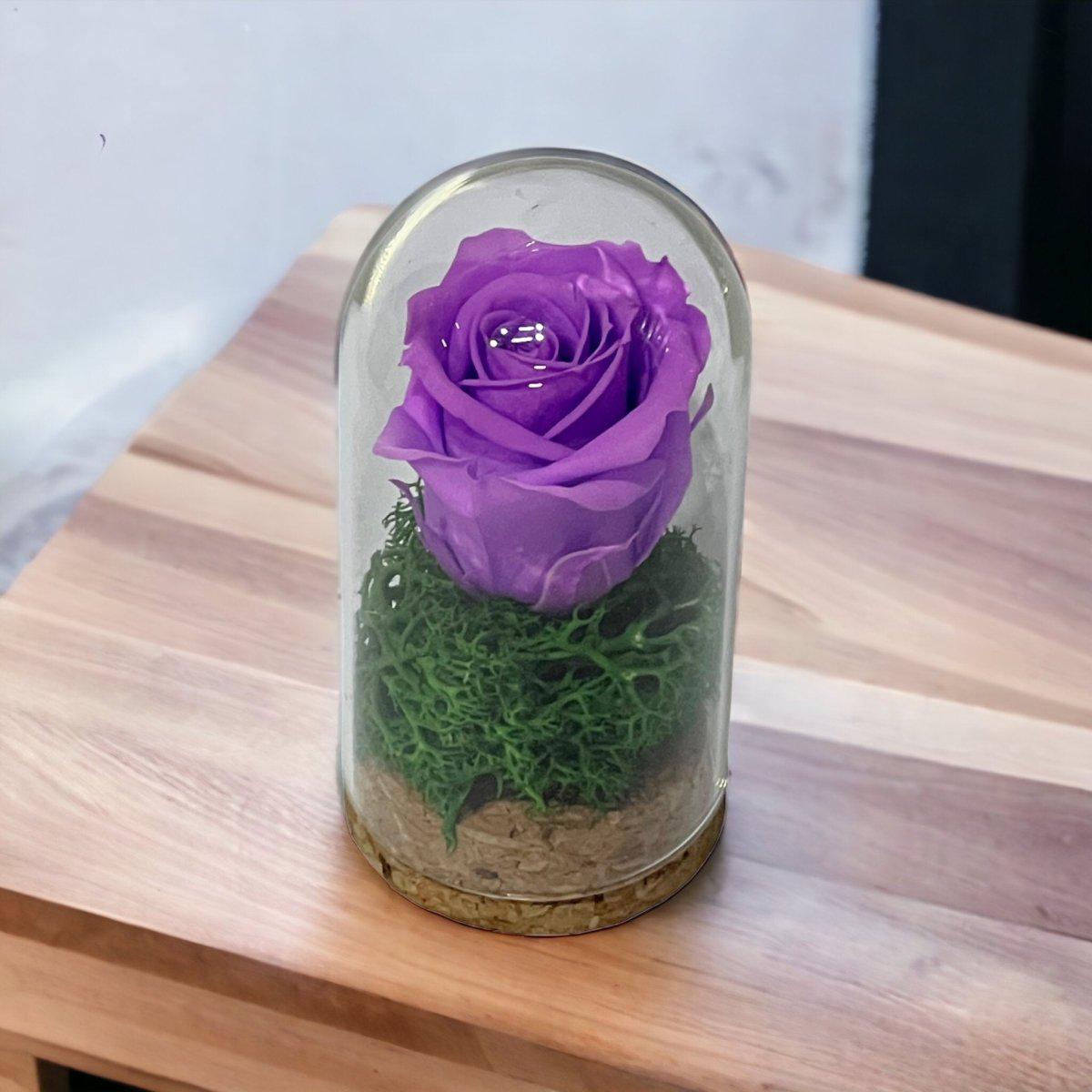 Trandafir Criogenat Lila În Cupolă Elegantă 5x9,5cm Marturie De Lux Cadou - Trandafir - Criogenat.ro