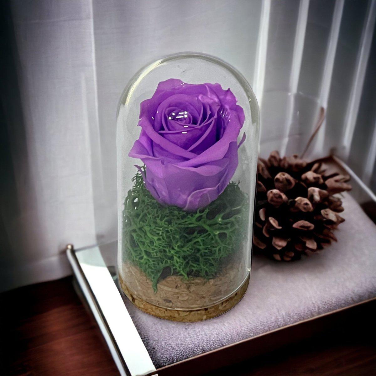 Trandafir Criogenat Lila În Cupolă Elegantă 5x9,5cm Marturie De Lux Cadou - Trandafir - Criogenat.ro