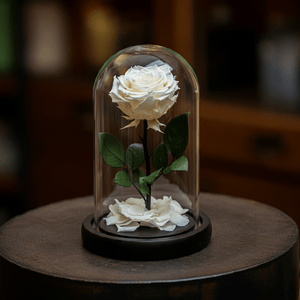Trandafir Criogenat Lux În Cupolă De Sticlă Durabil Până La 25 De Ani Garantat - Trandafir - Criogenat.ro