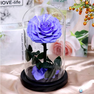 Trandafir Criogenat mare mov in cupola de sticla, cu mesaj personalizat - Trandafir - Criogenat.ro