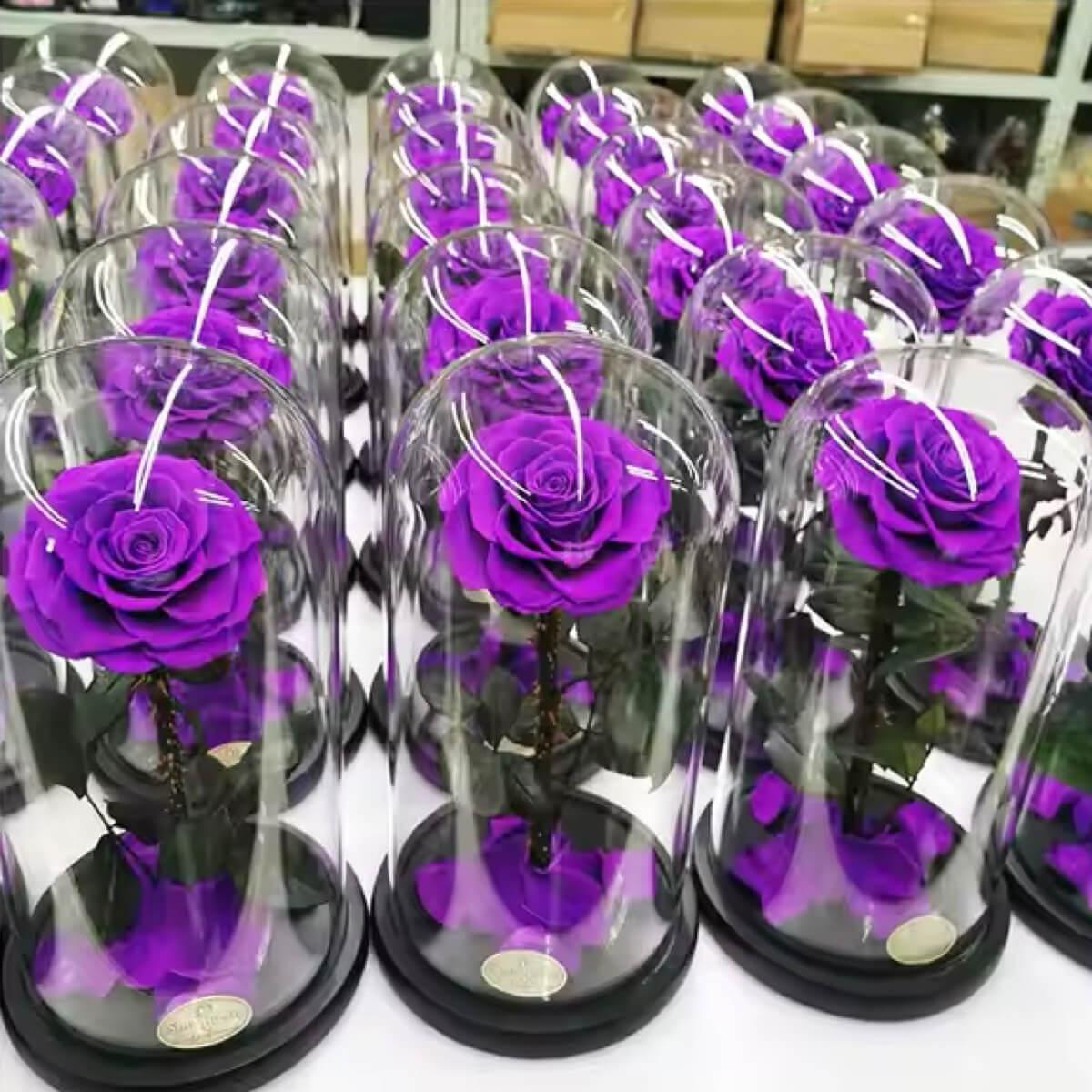 Trandafir Criogenat Mov Bonita In Cupolă De Sticlă 9,5cm Cadou Unic Pentru Ea Deosebit - Trandafir - Criogenat.ro