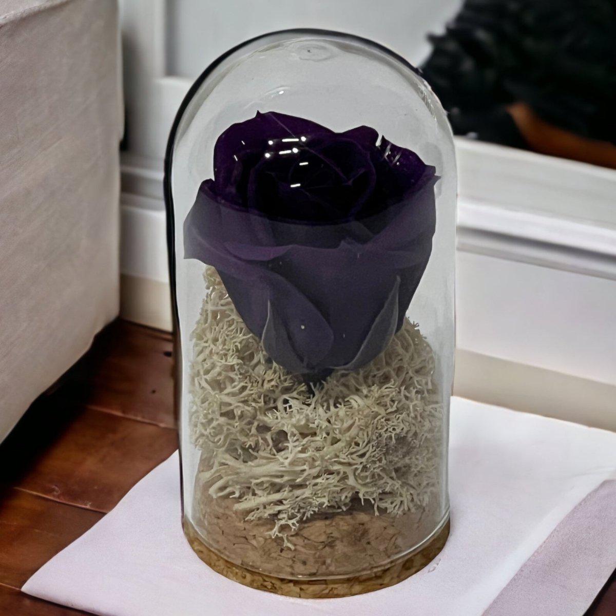 Trandafir Criogenat Mov În Cupolă De Sticlă 5x9,5 Cm Cadou Elegant Evenimente - Trandafir - Criogenat.ro