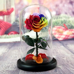 Trandafir Criogenat Multicolor În Cupolă De Sticlă 7 - 8 Cm Cadou Ideal Special - Trandafir - Criogenat.ro
