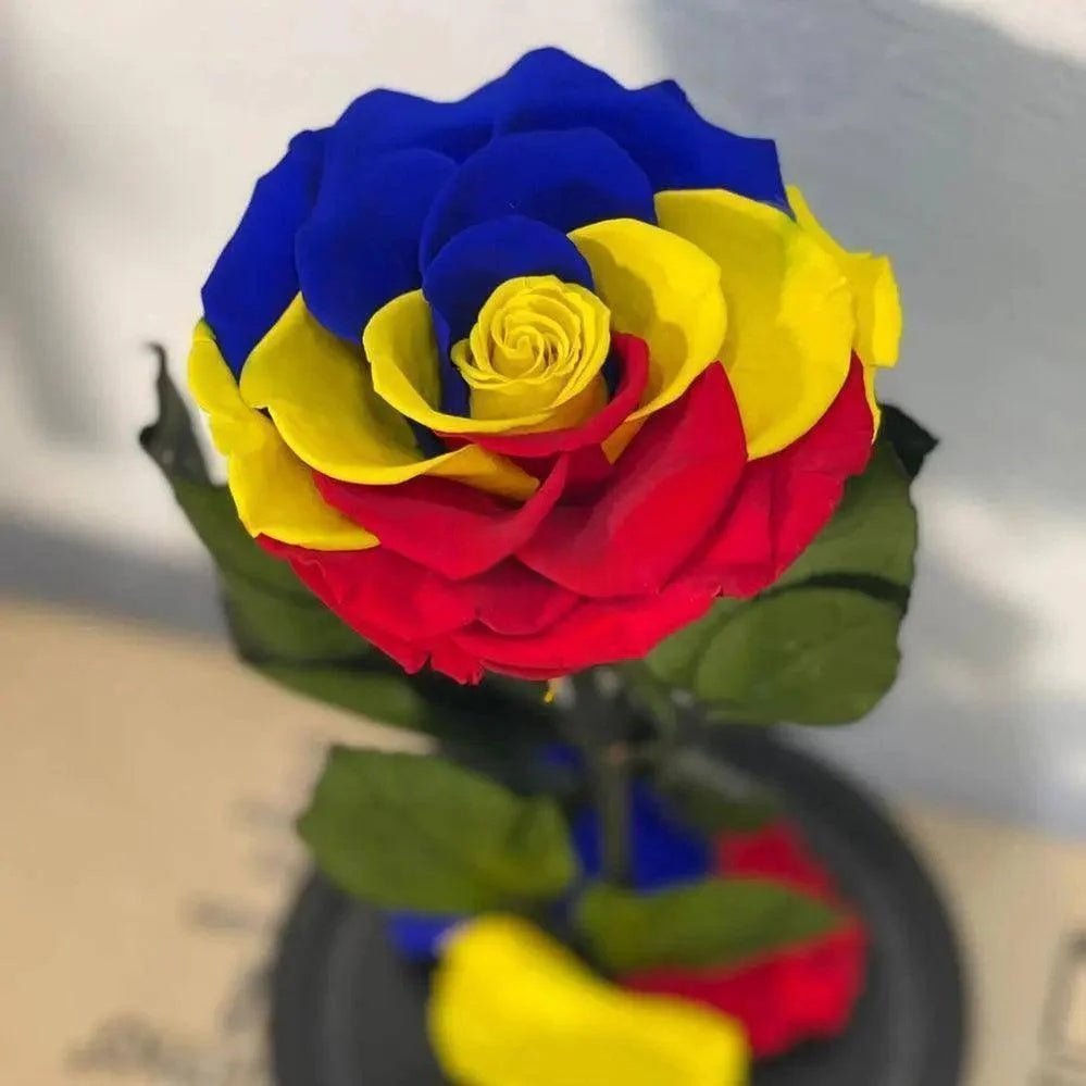 Trandafir Criogenat Multicolor În Cupolă De Sticlă Diametru 9,5 Cm Cadou Elegant - Trandafir - Criogenat.ro