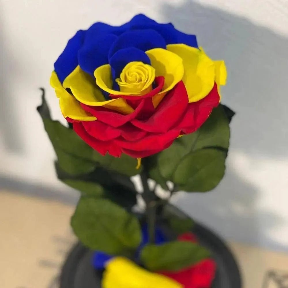 Trandafir Criogenat Multicolor În Cupolă De Sticlă Diametru 9,5 Cm Cadou Elegant - Trandafir - Criogenat.ro