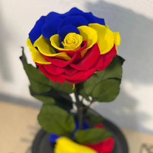 Trandafir Criogenat Multicolor În Cupolă De Sticlă Diametru 9,5 Cm Cadou Elegant - Trandafir - Criogenat.ro