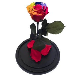 Trandafir Criogenat Multicolor XL Cupolă De Sticlă Cadou Ideal Pentru Dragă - Trandafir - Criogenat.ro