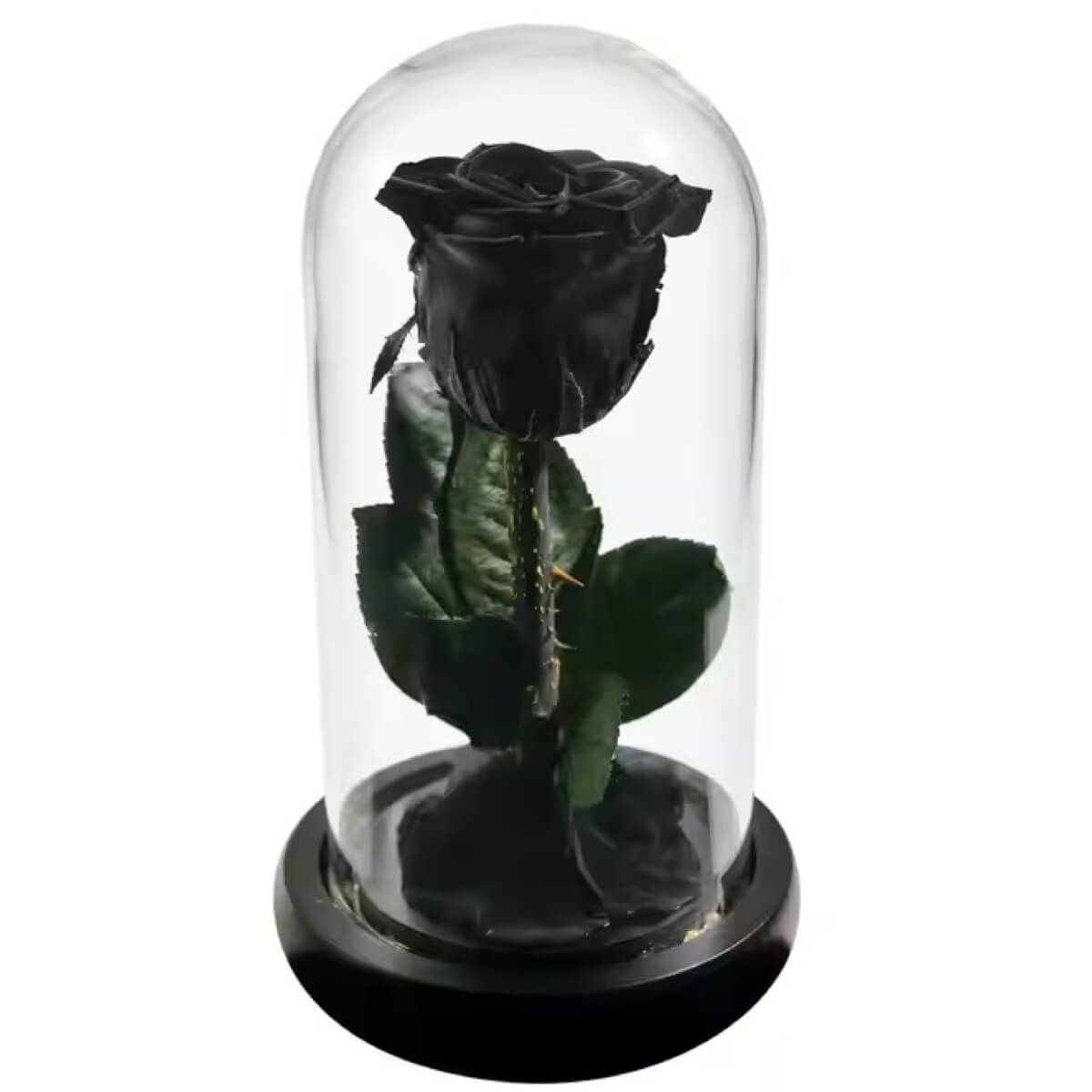 Trandafir Criogenat negru in cupola de sticla, cu mesaj personalizat scris - Trandafir - Criogenat.ro