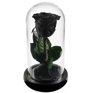 Trandafir Criogenat negru in cupola de sticla, cu mesaj personalizat scris - Trandafir - Criogenat.ro
