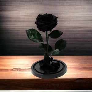 Trandafir Criogenat Negru Lux In Cupola De Sticla Cadou Cu Mesaj Personalizat - Trandafir - Criogenat.ro