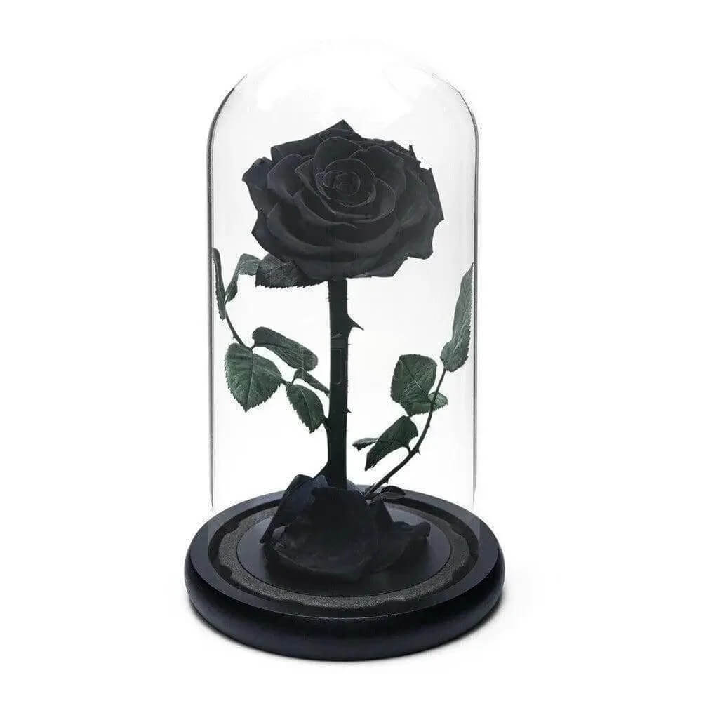 Trandafir Criogenat Negru Premium În Cupolă De Sticlă 8 Cm Cadou Unic Elegant - Trandafir - Criogenat.ro