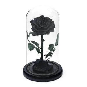 Trandafir Criogenat Negru Premium În Cupolă De Sticlă 8 Cm Cadou Unic Elegant - Trandafir - Criogenat.ro
