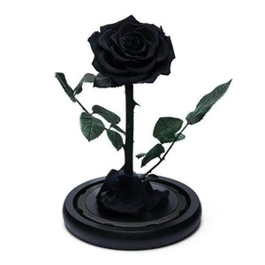 Trandafir Criogenat Negru Premium În Cupolă De Sticlă 8 Cm Cadou Unic Elegant - Trandafir - Criogenat.ro