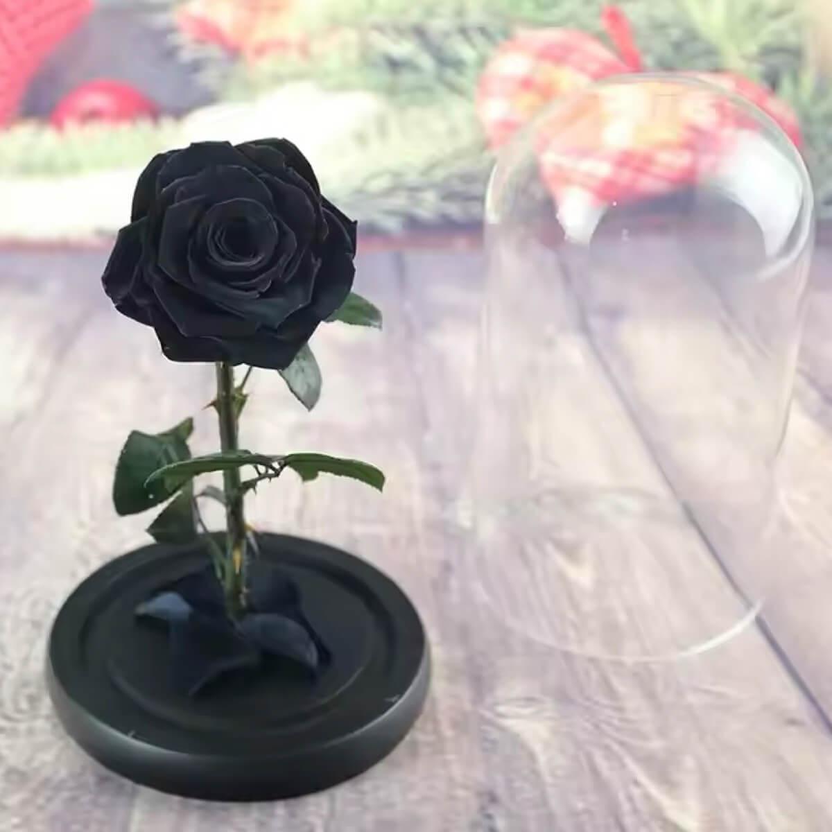 Trandafir Criogenat Negru Premium În Cupolă De Sticlă Cu Mesaj Personalizat - Trandafir - Criogenat.ro