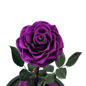 Trandafir Criogenat Nemuritor Bonita Mov În Cupolă de Sticlă 9,5 cm 15x25 cm - Trandafir - Criogenat.ro