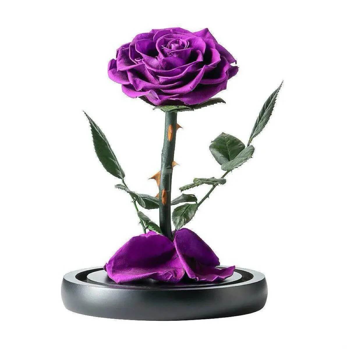 Trandafir Criogenat Nemuritor Bonita Mov În Cupolă de Sticlă 9,5 cm 15x25 cm - Trandafir - Criogenat.ro