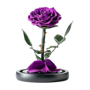 Trandafir Criogenat Nemuritor Bonita Mov În Cupolă de Sticlă 9,5 cm 15x25 cm - Trandafir - Criogenat.ro