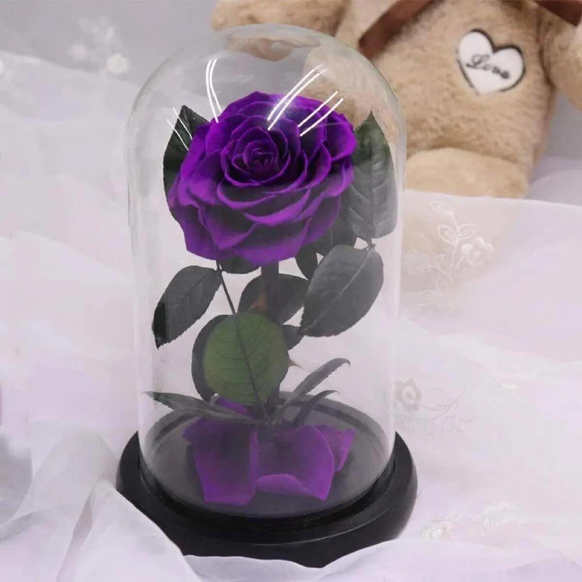 Trandafir Criogenat Nemuritor Bonita Mov În Cupolă de Sticlă 9,5 cm 15x25 cm - Trandafir - Criogenat.ro