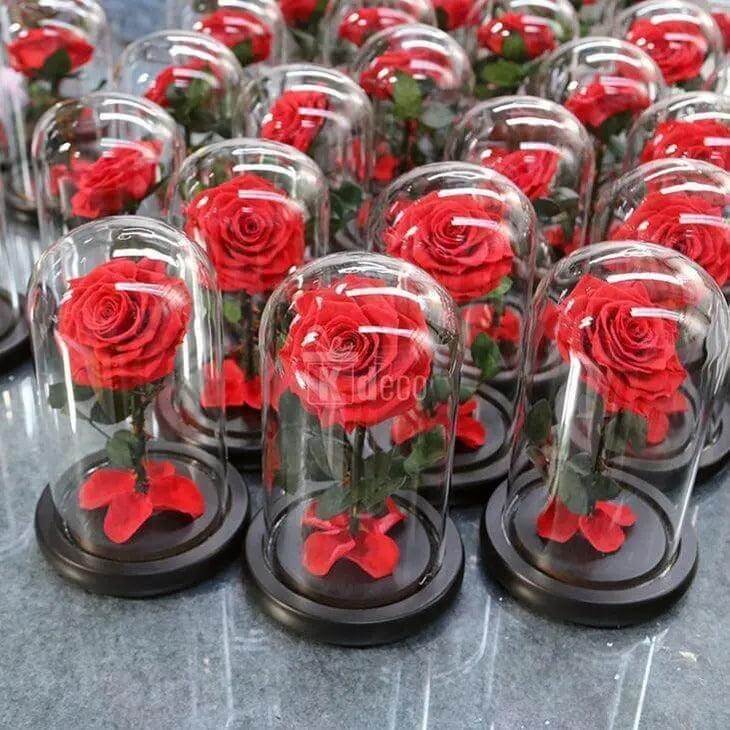 Trandafir Criogenat Nemuritor Bonita Roșu În Cupolă Elegantă 15x25cm Cadou - Trandafir - Criogenat.ro