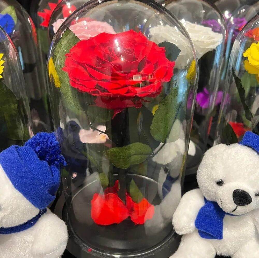 Trandafir Criogenat Nemuritor Bonita Roșu În Cupolă Elegantă 15x25cm Cadou - Trandafir - Criogenat.ro