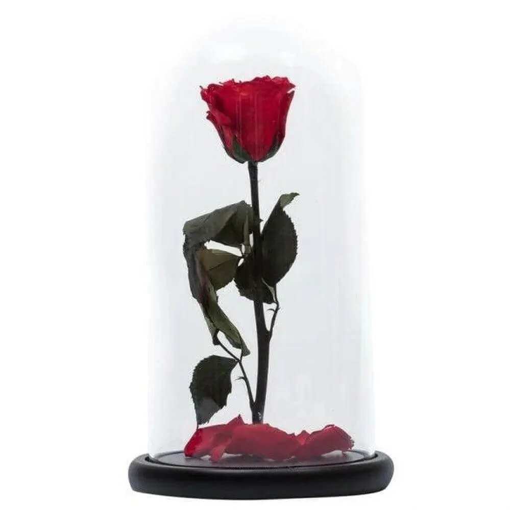 Trandafir Criogenat Nemuritor Roșu XL Cupolă De Sticlă Cu Mesaj Personalizat - Trandafir - Criogenat.ro