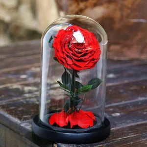 Trandafir Criogenat Nemuritor XXL Roșu În Cupolă Mare De Sticlă Diametru 9,5 Cm - Trandafir - Criogenat.ro