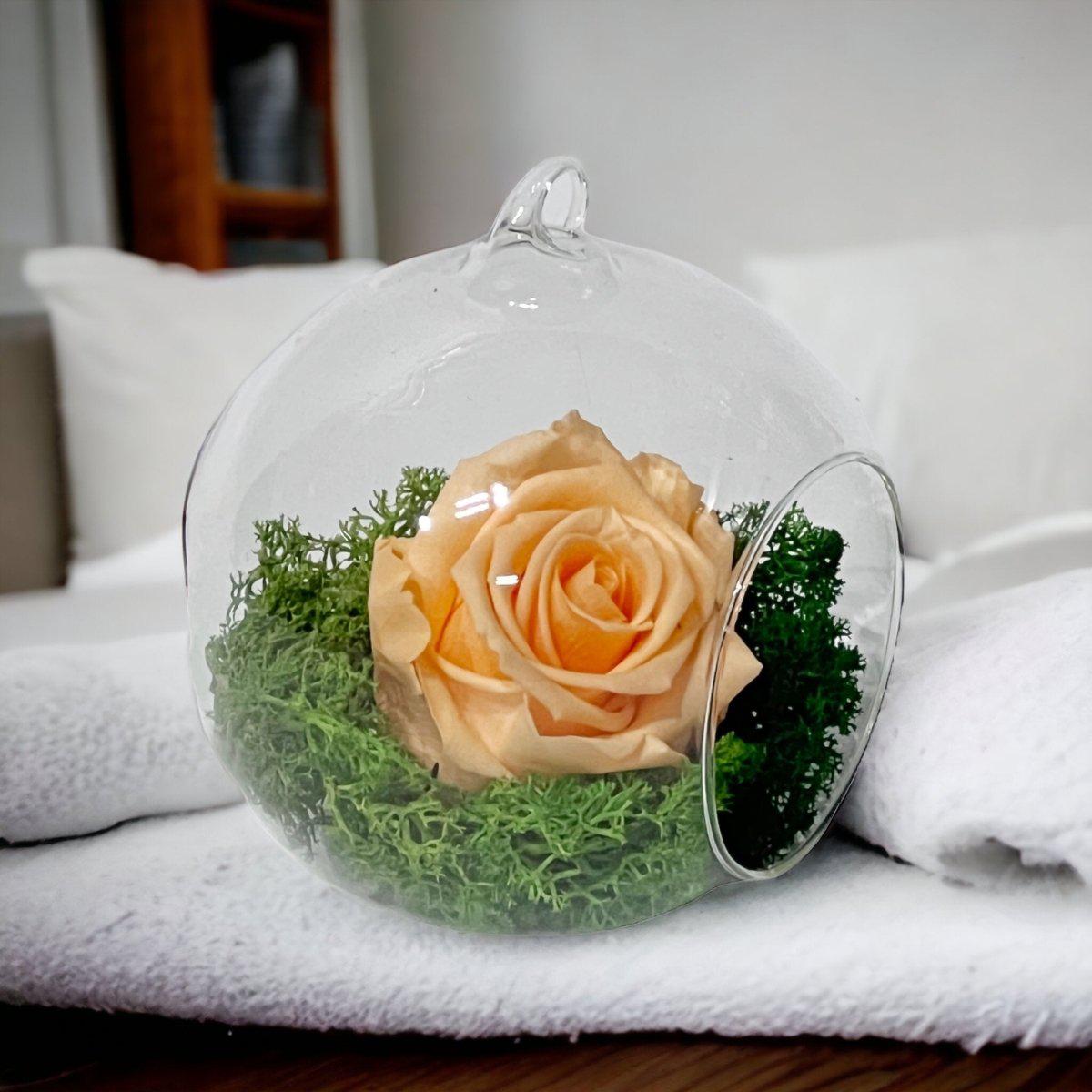 Trandafir Criogenat Piersică XL În Glob De Sticlă 12cm Cadou Cu Livrare 24h - Trandafir - Criogenat.ro