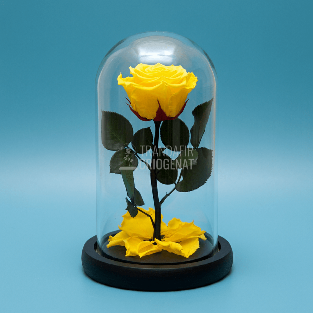 Trandafir Criogenat premium galben in cupola de sticla, mesaj personalizat - Trandafir - Criogenat.ro
