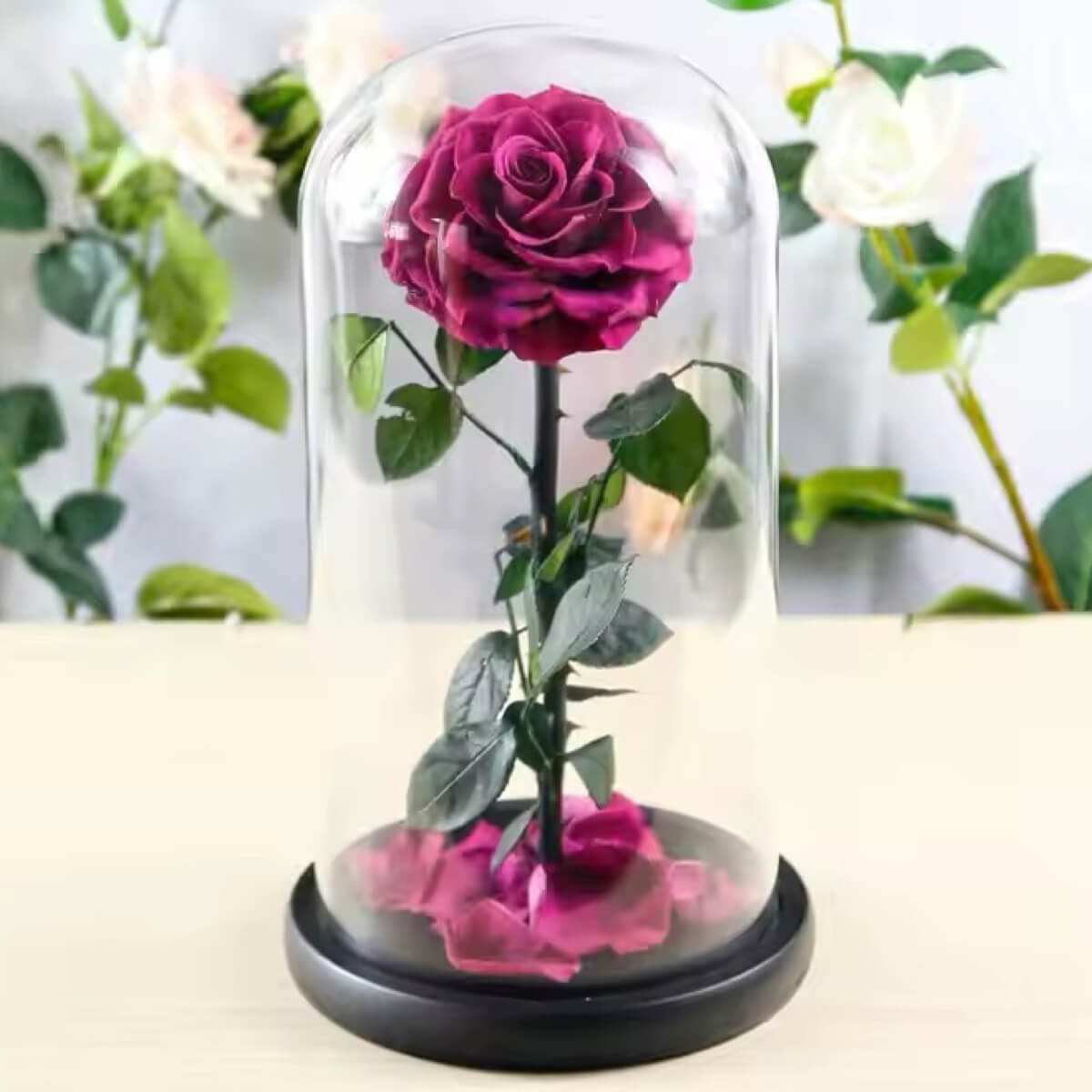Trandafir Criogenat premium mov pudrat in cupola de sticla, cu mesaj scris - Trandafir - Criogenat.ro