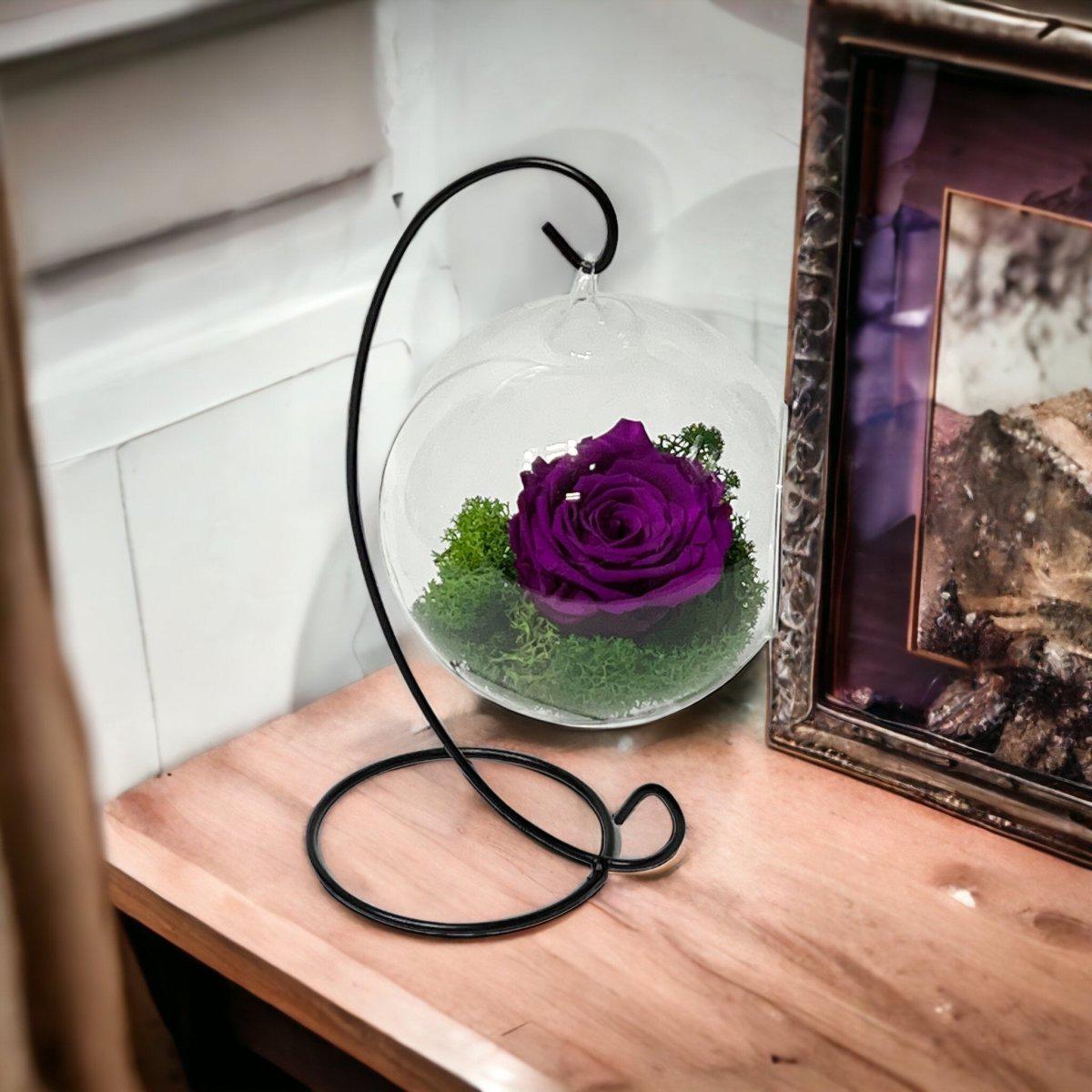 Trandafir Criogenat Purpuriu XL Nemuritor In Glob Sticla Suspendat Frumusete - Trandafir - Criogenat.ro