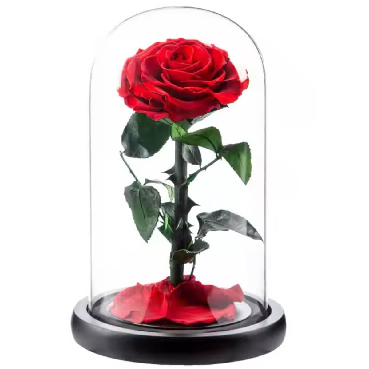 Trandafir Criogenat Roșu Bonita 9,5 cm În Cupolă de Sticlă Mesaj Personalizat - Trandafir - Criogenat.ro