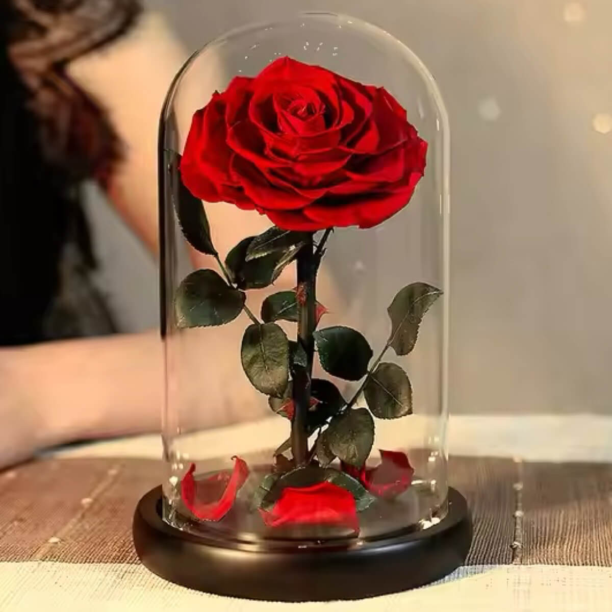 Trandafir Criogenat rosu Bonita in cupola de sticla, cu mesaj scris - Trandafir - Criogenat.ro