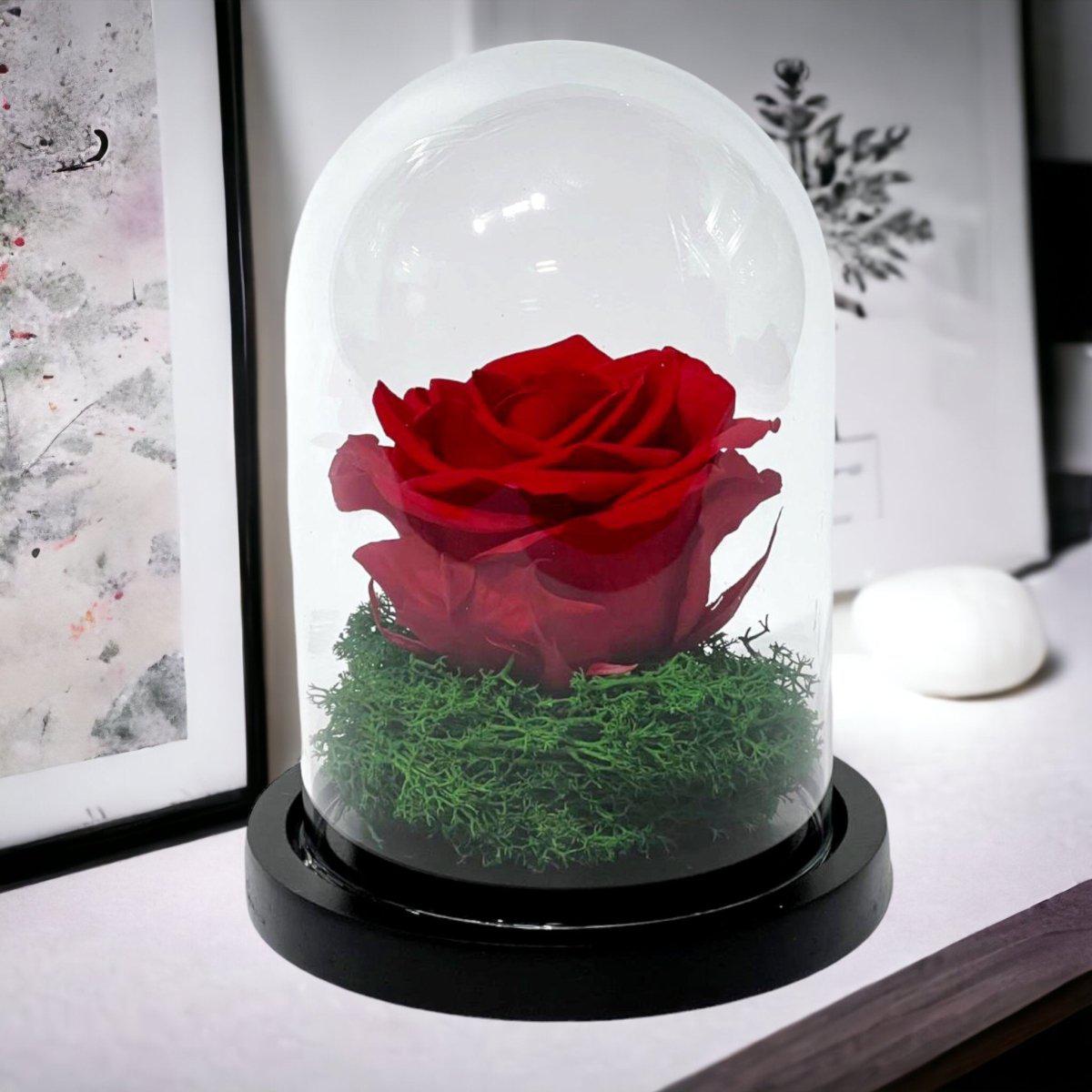 Trandafir Criogenat Roșu Cu Cupolă De Sticlă Cadou Ideal Femeii Speciale 25 Ani - Trandafir - Criogenat.ro