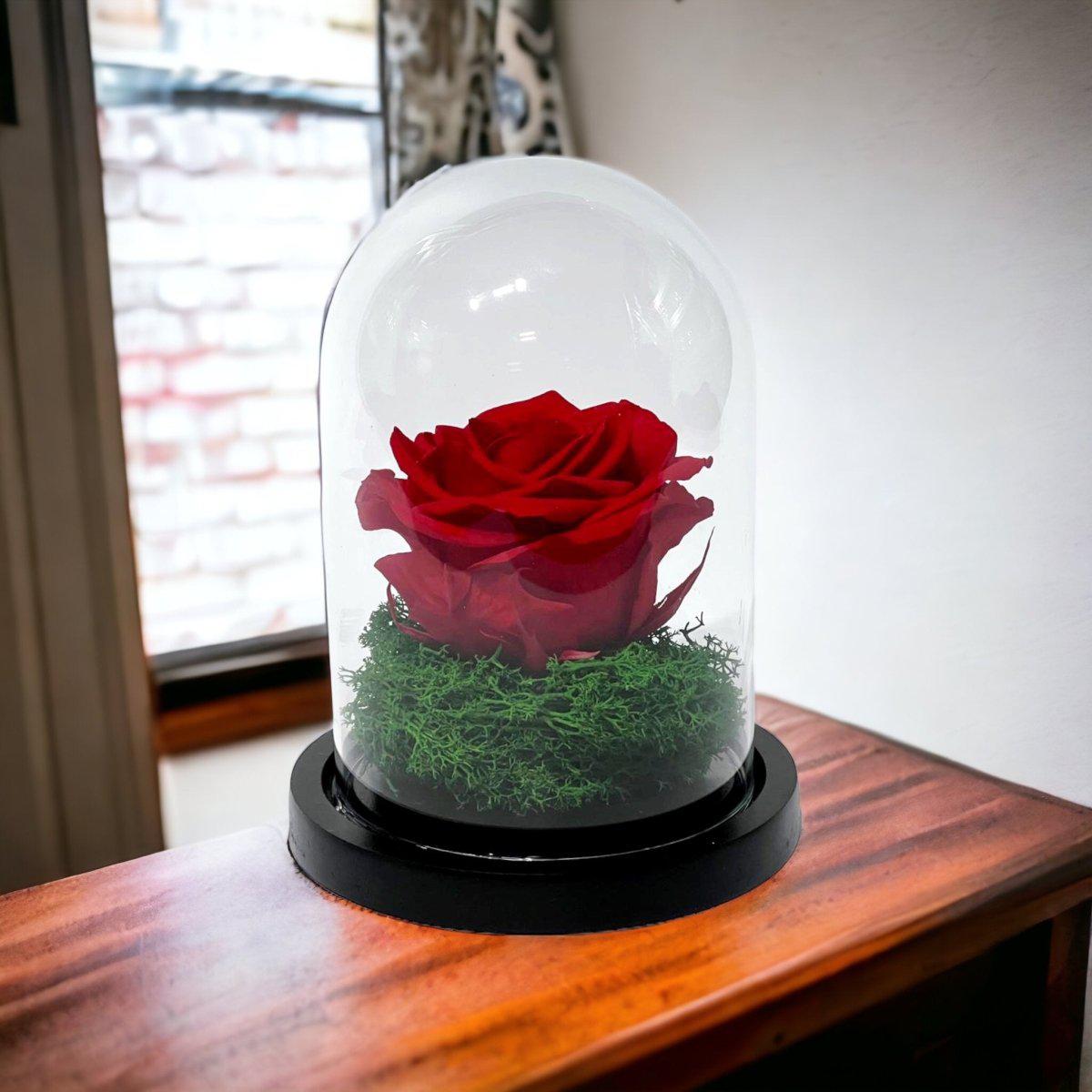 Trandafir Criogenat Roșu Cu Cupolă De Sticlă Cadou Ideal Femeii Speciale 25 Ani - Trandafir - Criogenat.ro