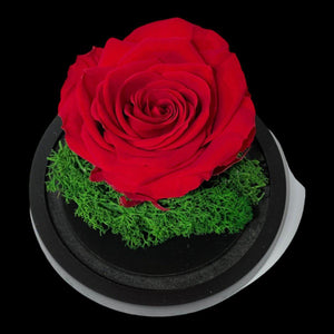 Trandafir Criogenat Roșu Cu Cupolă De Sticlă Cadou Ideal Femeii Speciale 25 Ani - Trandafir - Criogenat.ro