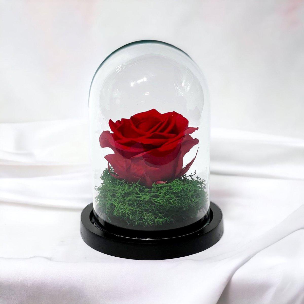 Trandafir Criogenat Roșu Cu Cupolă De Sticlă Cadou Ideal Femeii Speciale 25 Ani - Trandafir - Criogenat.ro