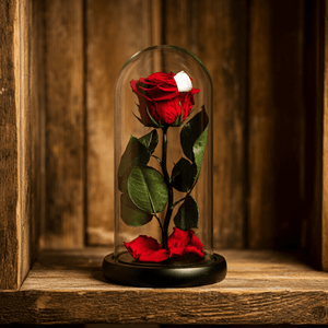 Trandafir Criogenat Roșu Cu Mesaj Personalizat În Cupolă Elegantă Cadou - Trandafir - Criogenat.ro
