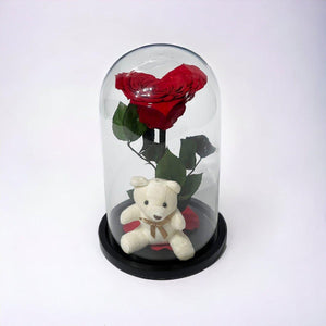 Trandafir Criogenat Roșu cu Ursuleț și Cupolă de Sticlă Cadou Romantic - Trandafir - Criogenat.ro