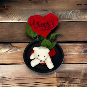 Trandafir Criogenat Roșu cu Ursuleț și Cupolă de Sticlă Cadou Romantic - Trandafir - Criogenat.ro