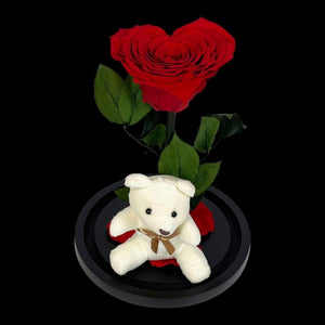 Trandafir Criogenat Roșu cu Ursuleț și Cupolă de Sticlă Cadou Romantic - Trandafir - Criogenat.ro
