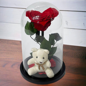 Trandafir Criogenat Roșu cu Ursuleț și Cupolă de Sticlă Cadou Romantic - Trandafir - Criogenat.ro