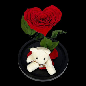 Trandafir Criogenat Roșu cu Ursuleț și Cupolă de Sticlă Cadou Romantic - Trandafir - Criogenat.ro