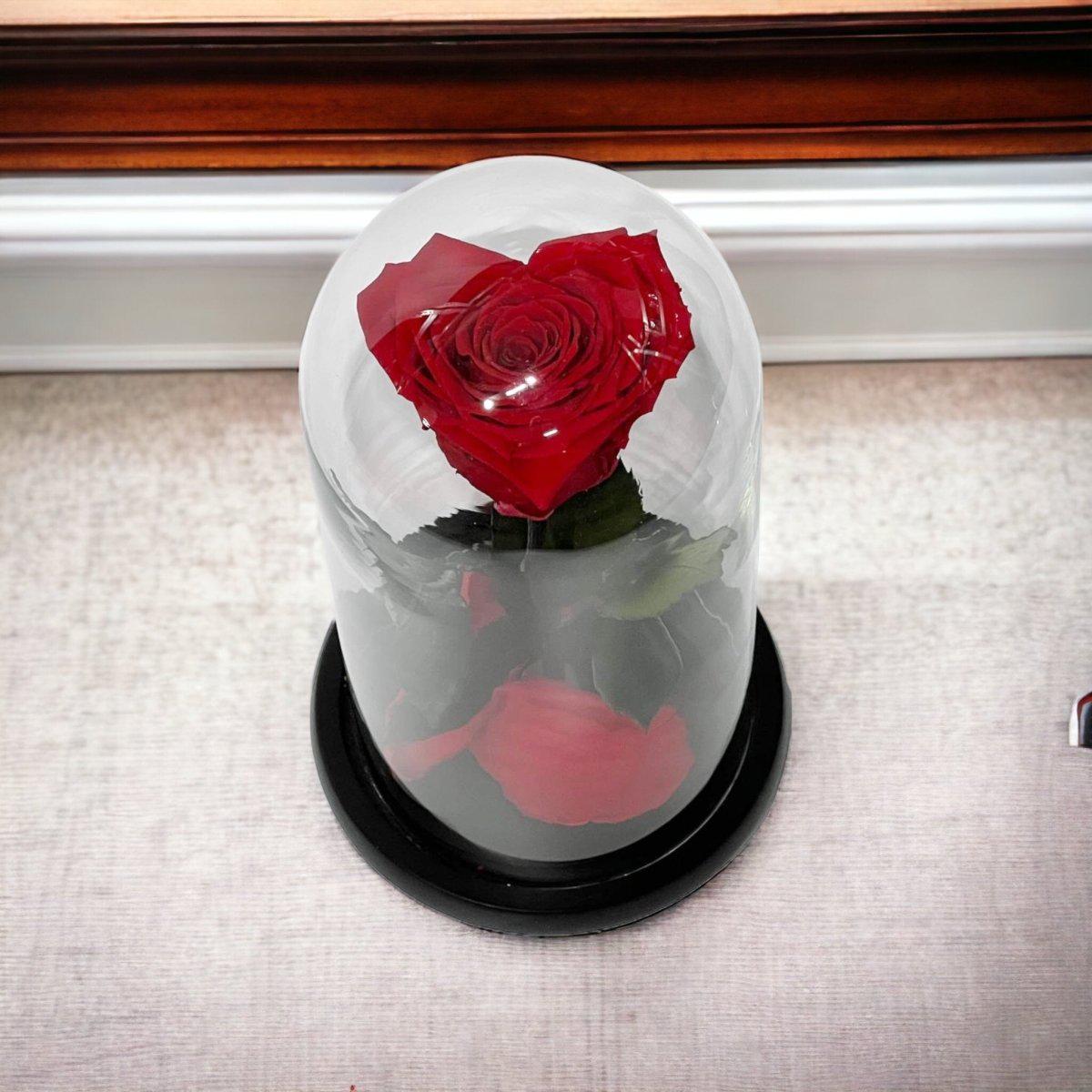 Trandafir Criogenat Roșu În Formă De Inimă Cu Cupolă De Sticlă Elegantă - Trandafir - Criogenat.ro